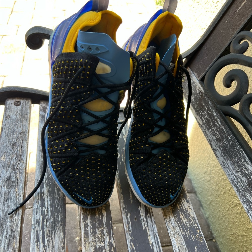 Nike basketball   LABRON JAMES Men's Shoes